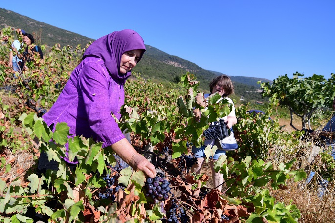 Bornova’da Avrupa Hareketlilik Haftası Heyecanı