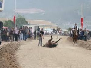 At yarışında korkunç kaza