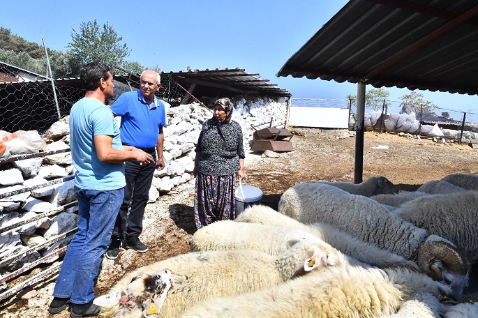 Karşıyaka Sancaklı Köyü besicilerine yem desteği 